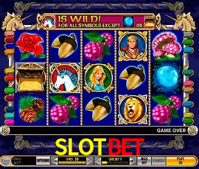 Descubra a Essência do SLOTBET: Nossa História e Compromissos